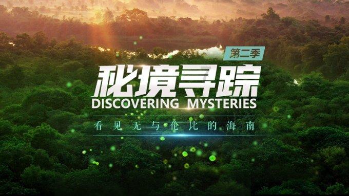 李健夫妇高调秀恩爱，网友：神仙眷侣